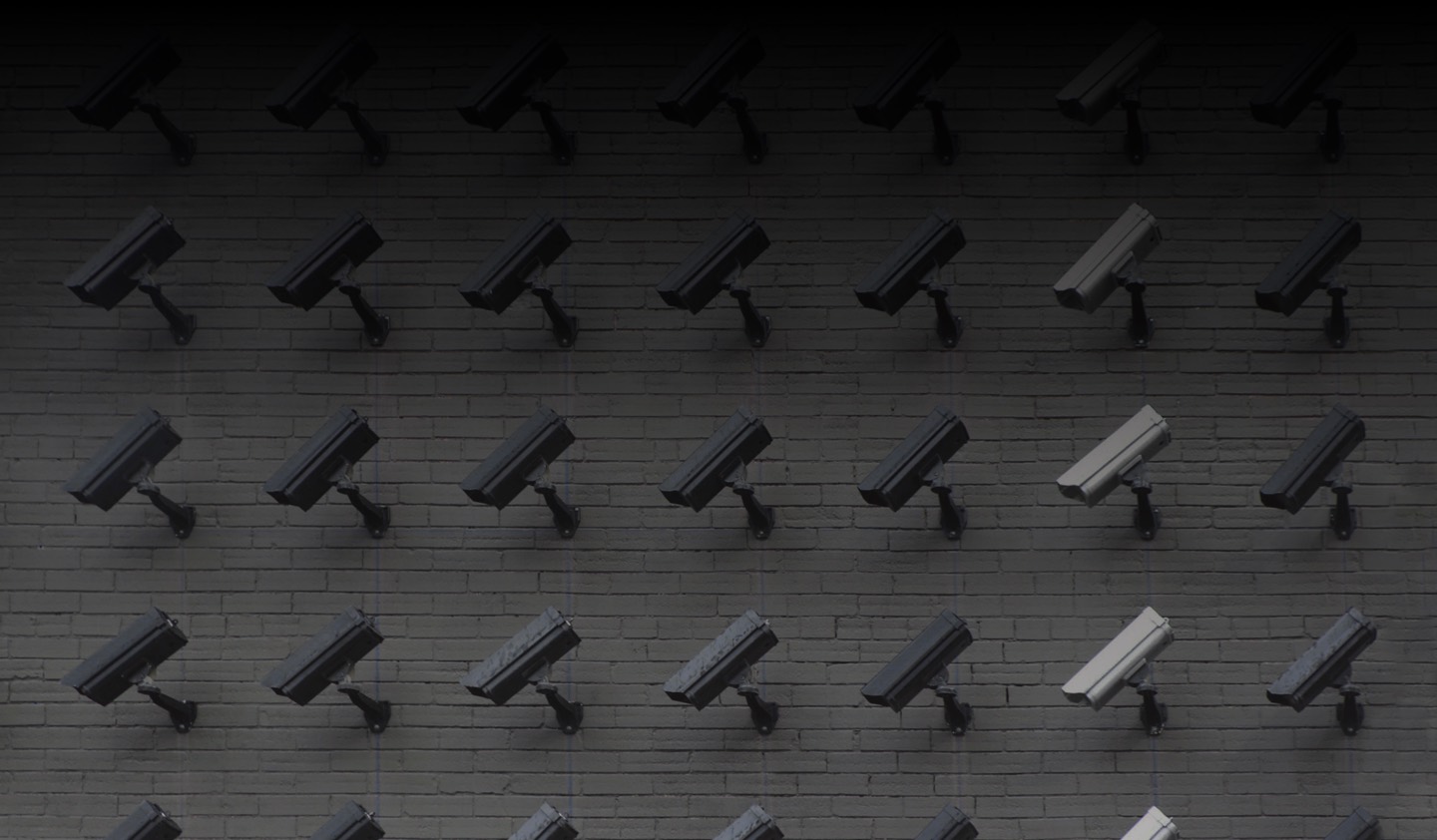 Privacy policy